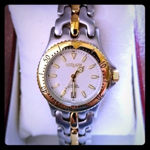 BRAND 🆕 Wittnauer Men's Two Toned Luxury Watch